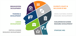 HR Development